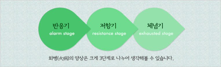ȭ(ܻ)  ũ 3ܰ  غ  ֽϴ. (alarm stage), ױ(resistance stage), ü(exhausted stage)